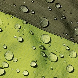 9038217d-f1f0-4688-a120-07a8c708729d.png._CB313925742__SR300,300_.png