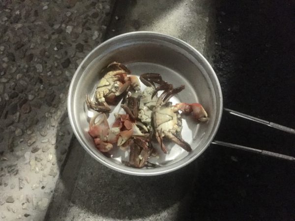 thumb_IMG_7749_1024