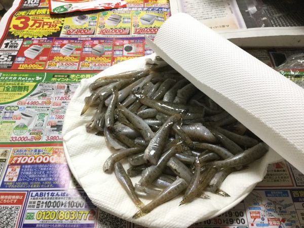 thumb_IMG_0207_1024