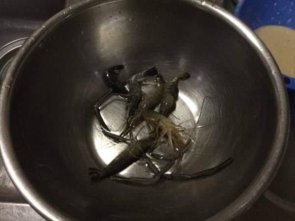 thumb_IMG_0210_1024