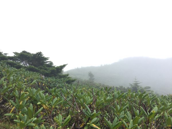 thumb_IMG_1148_1024
