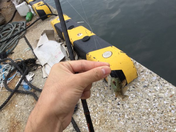 unadjustednonraw_thumb_209c
