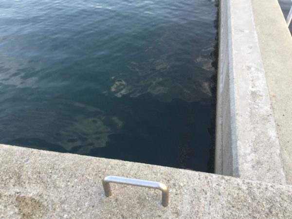 thumb_img_1667_1024