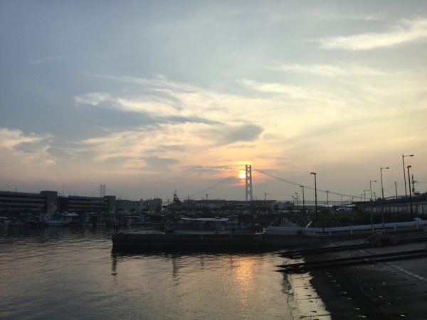 thumb_img_1669_1024