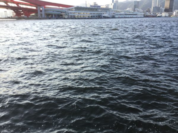 thumb_img_1717_1024