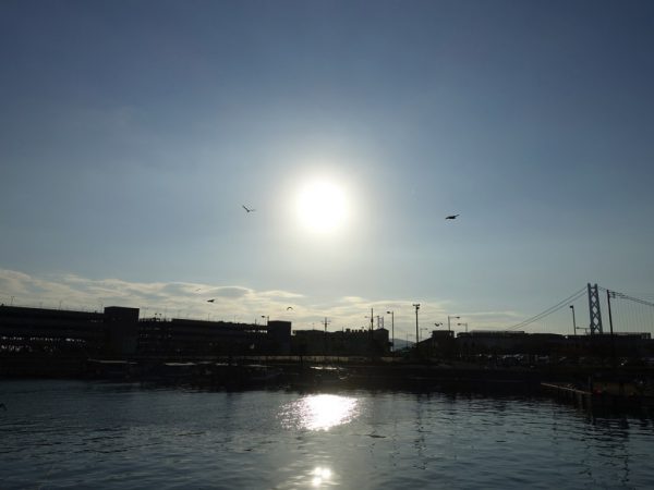 dsc00878