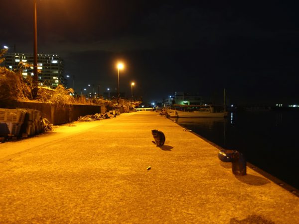dsc00919
