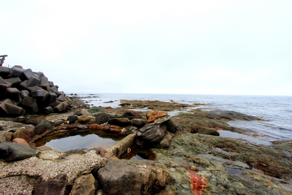 北海道旅行記 Nature Drive