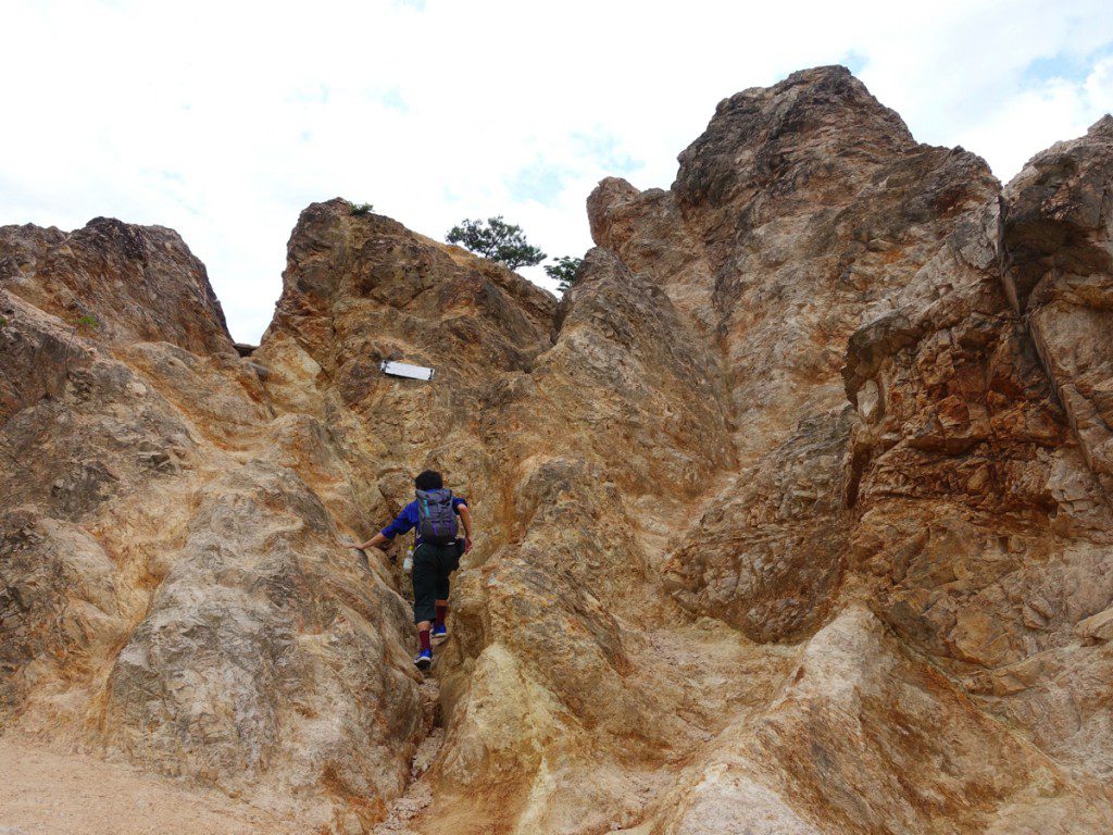 初心者でも気軽に縦走登山 須磨アルプス に挑戦 須磨浦公園 馬の背 板宿 Nature Drive