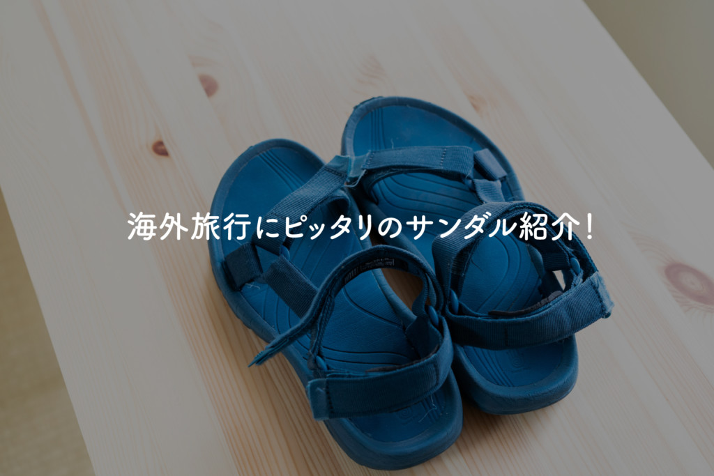 ホラーゲームとは (ホラーゲームとは ...